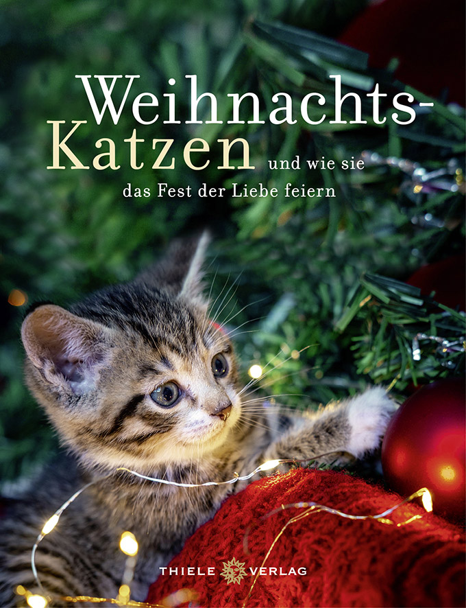 Weihnachtskatzen